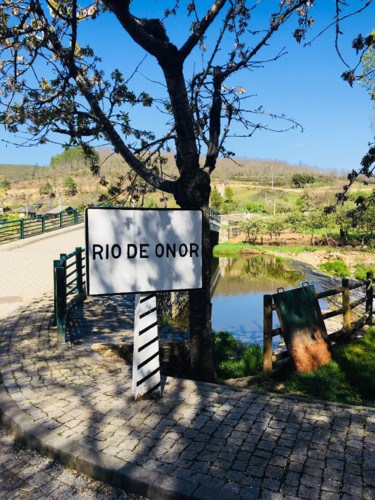 IMG_7802.jpg IMG_7802.jpg