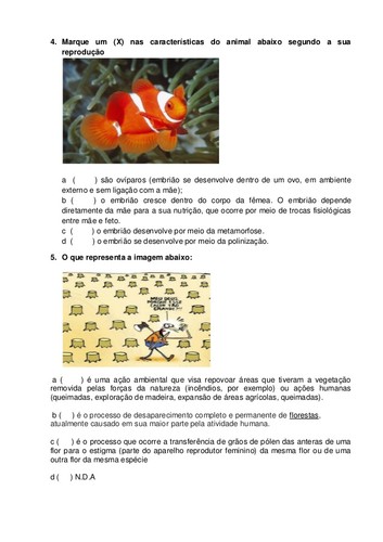 3-atividade-avaliativa-de-cincias-4-ano-pdf-2-638. 3-atividade-avaliativa-de-cincias-4-ano-pdf-2-638.