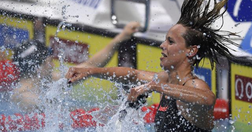 pellegrini.png pellegrini.png