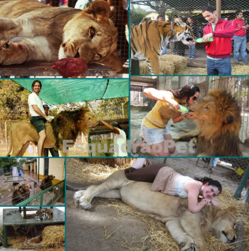 Captura de ecrã 2017-02-07, às 18.30.19.png