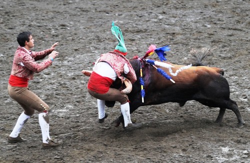 Helénio, num dia de saudade...