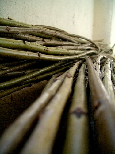 vimes in. firmepedra.blogspot.com