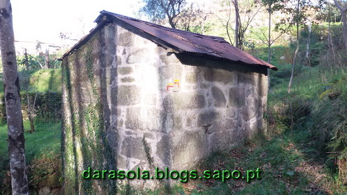 Burgo_16.jpg Burgo_16.jpg