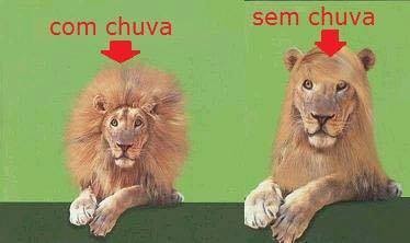 13139285_1005880519489235_2515498382521334166_n.jp