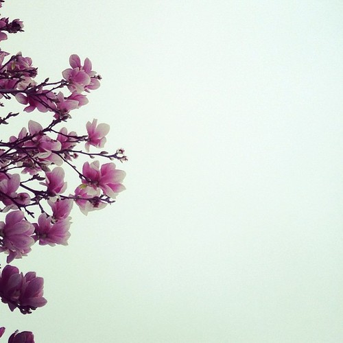 13983_10200774240908172_33793839_n.jpg 13983_10200774240908172_33793839_n.jpg