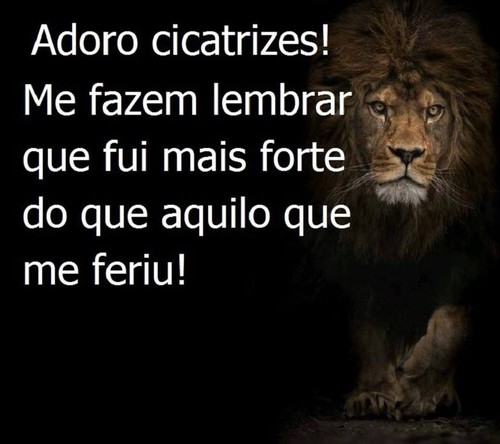 cicatrizes.jpg