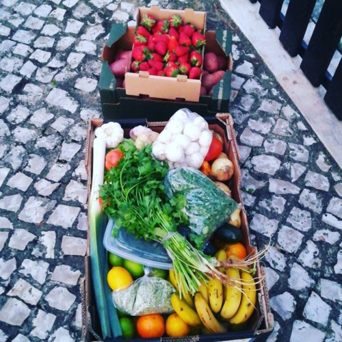 31369163_1086261174846976_9182355934063124976_n.jp