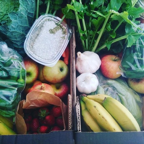 13256523_706837929455971_4542394255751425313_n.jpg 13256523_706837929455971_4542394255751425313_n.jpg