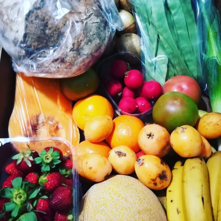 59680861_1363896303750127_7337227274686562304_n.jp