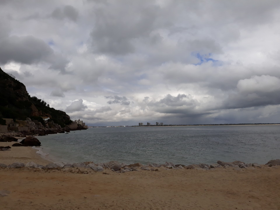 20200611_161717.jpg 20200611_161717.jpg