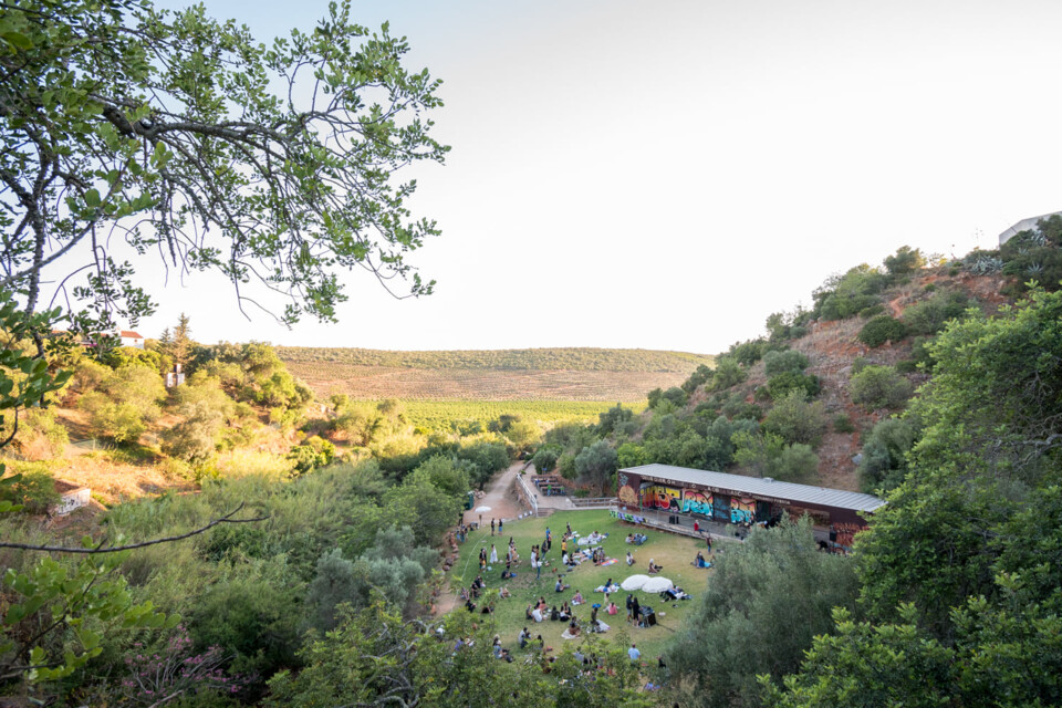 descarregar (7).jfif