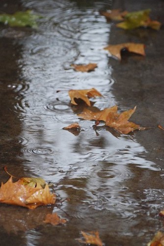 rain.jpg
