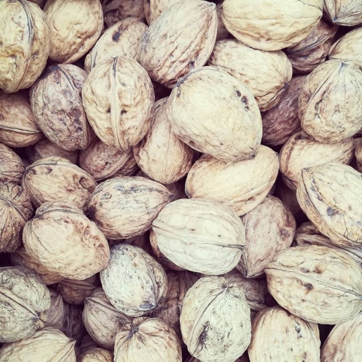 71768196_1480003868806036_1714320064301236224_n.jp 71768196_1480003868806036_1714320064301236224_n.jp