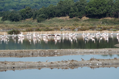 PA050126.JPG PA050126.JPG