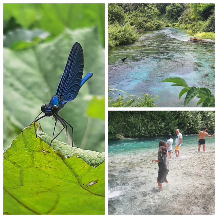 Blank 3 Grids Collage.png