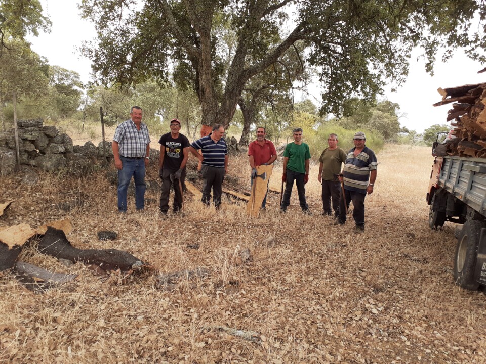 Descortiçamento Ervedal. Grupo. Foto original. 2022.06.15.jpg