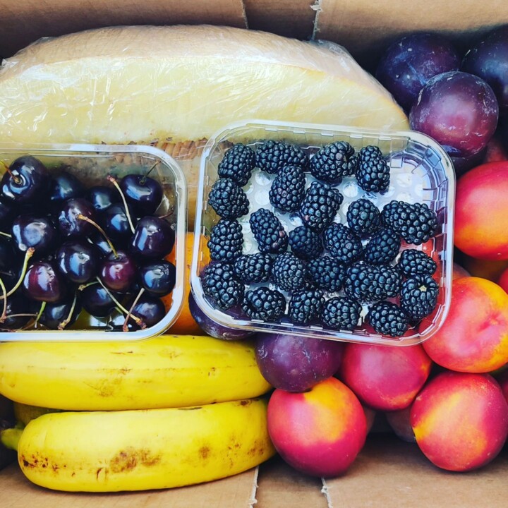 356074488_645912600899487_3199734724156335161_n.jp