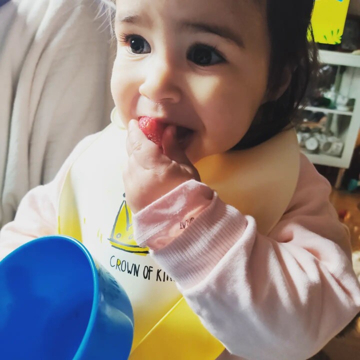 333231936_1404101967084614_4241895572082804365_n.j