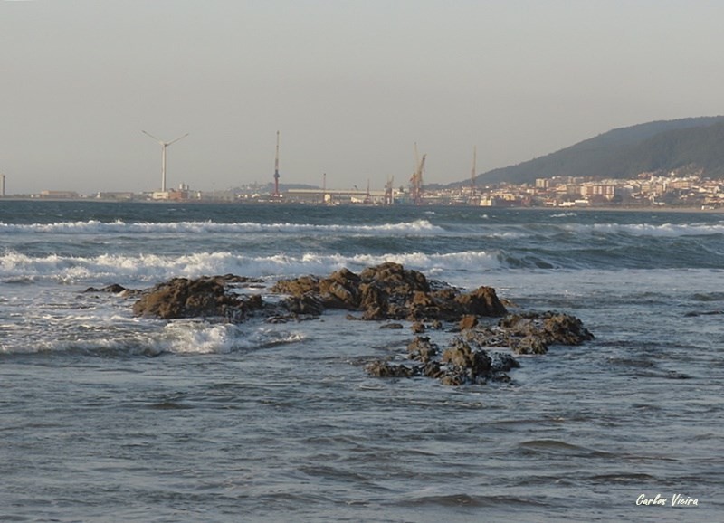 127918350_10225202113746464_2163948428495467378_n.