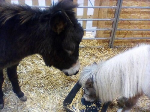 51533552_2019120244869937_5242702918498385920_o.jp