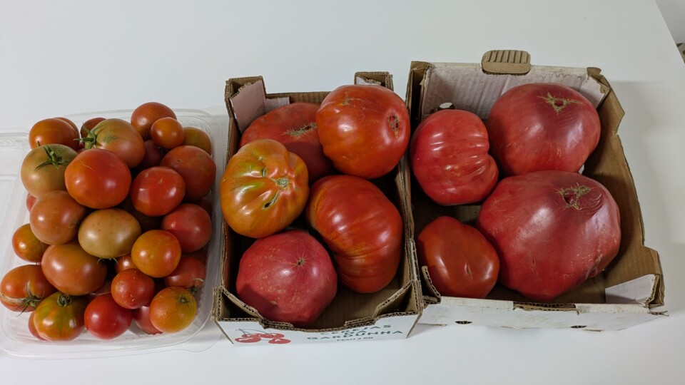 Imagem WhatsApp 2025-09-22 às 18.34.31_e7d13103.j