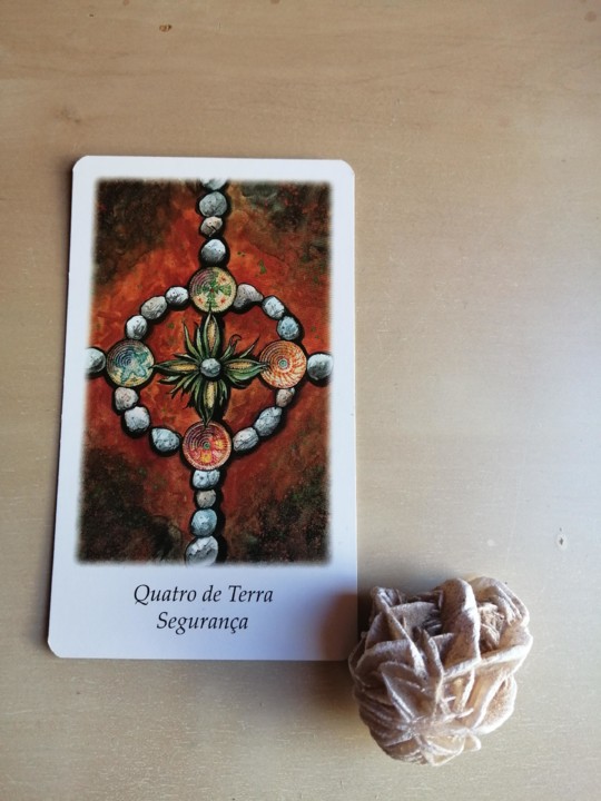 IMG_20210306_104236.jpg IMG_20210306_104236.jpg