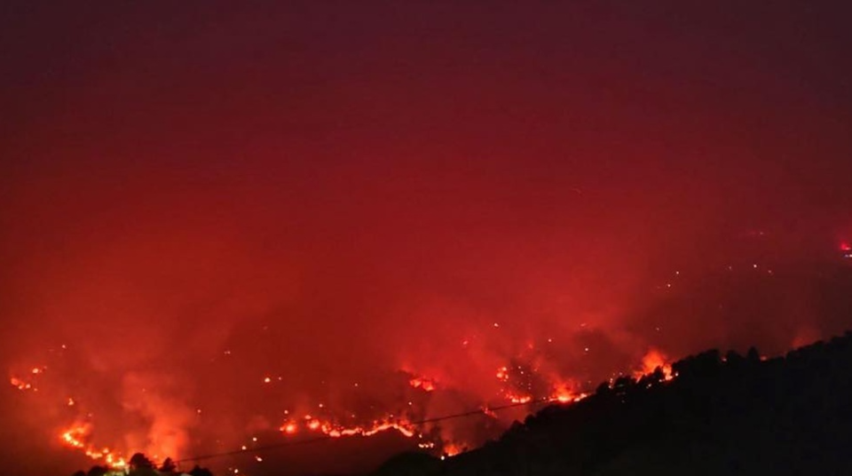 Captura de ecrã 2025-07-17 105113.png