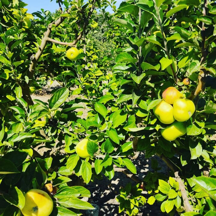 520207131_18489379645066958_498750856498205328_n.j