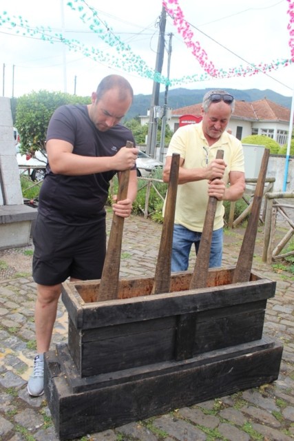 20190929132008_IMG_0449_resized_20191018_092814331