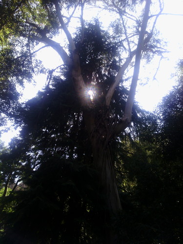 IMG_20150712_165558.jpg IMG_20150712_165558.jpg