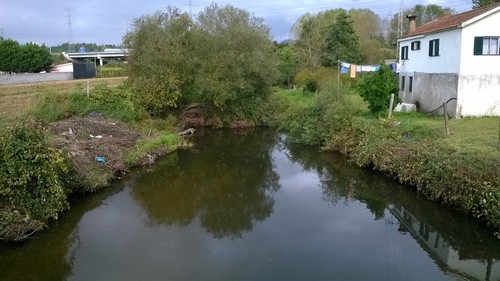 WP_20151006_003.jpg
