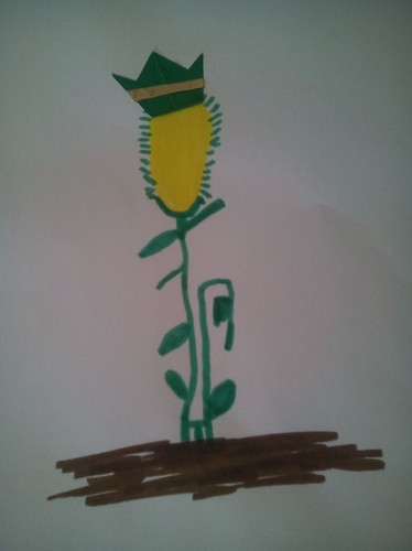 milho é rei.jpg milho é rei.jpg