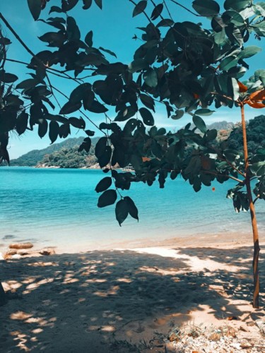 29497727_10216055662814436_8412902800335632501_n.j