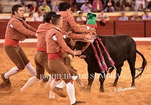 BARREIRA DE SOMBRA32-81-DSC_5679.JPG