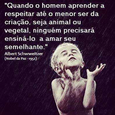 respeitar.jpg