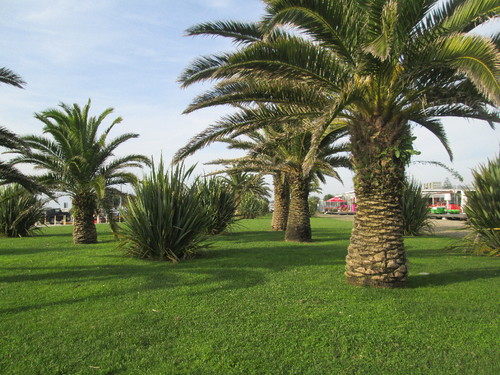 IMG_0919.JPG IMG_0919.JPG