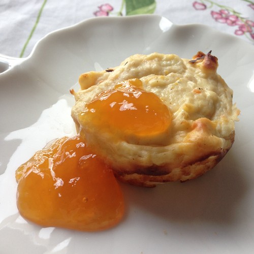 fotografia 3 (6).JPG