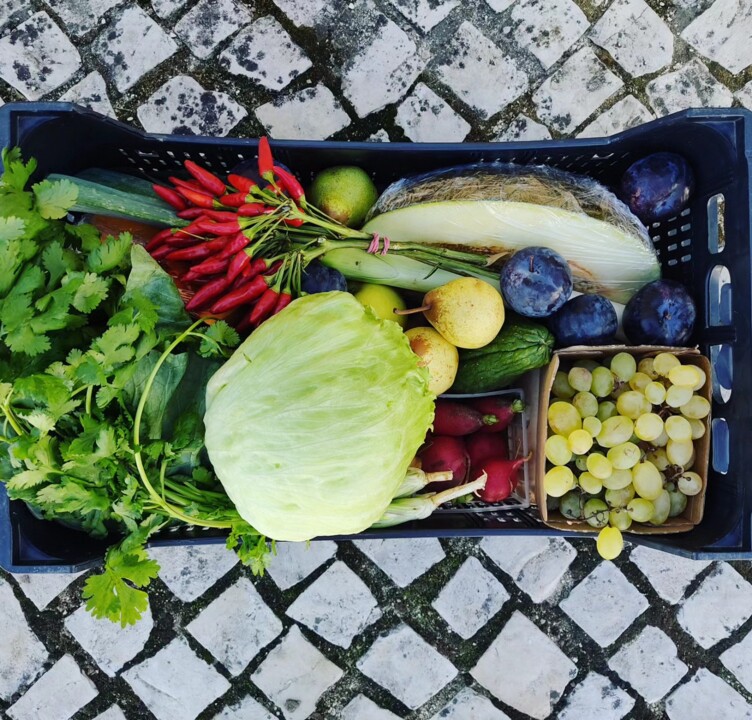 380831813_695918575898889_1994646354377595585_n.jp