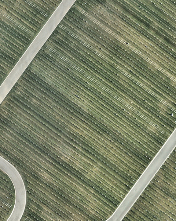 SF_Cemetery.jpg SF_Cemetery.jpg