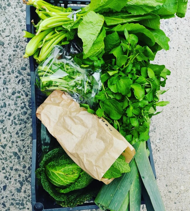 436301680_811192494371496_8493687209503928084_n.jp