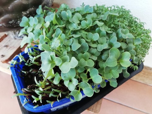 IMG_20190315_174606.jpg IMG_20190315_174606.jpg