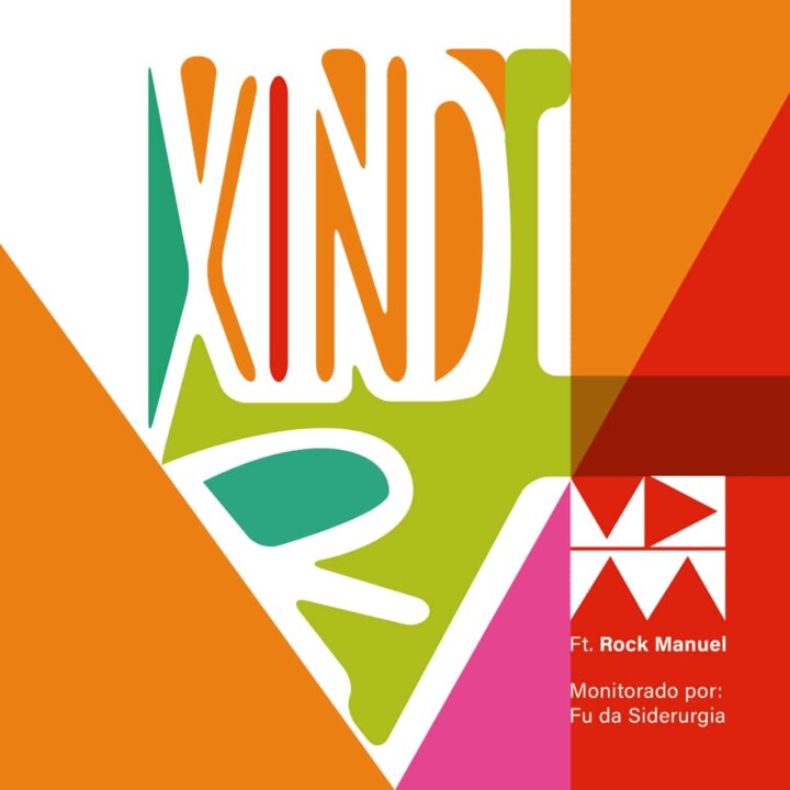 xindire cover.jpg