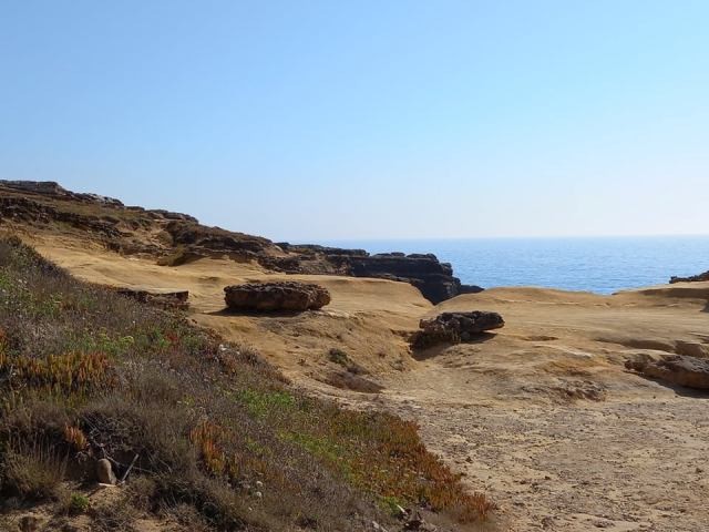 212329977_410730693570118_1095139289711904495_n.jp