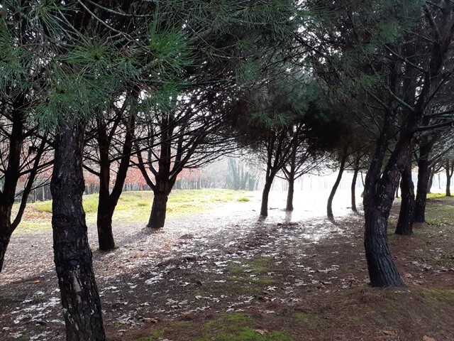 31a_Parque_Rio_Ul (1).jpg