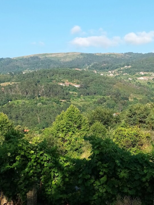 Não me canso disto minho1.jpg