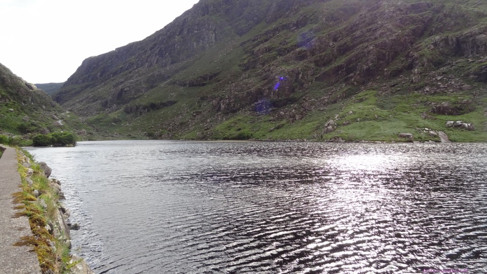 DSC07133.JPG DSC07133.JPG