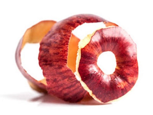 cascas de maçã.jpg