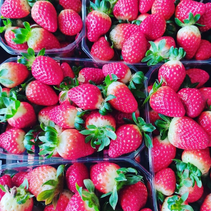 476813890_18460767742066958_2958755613853853402_n.