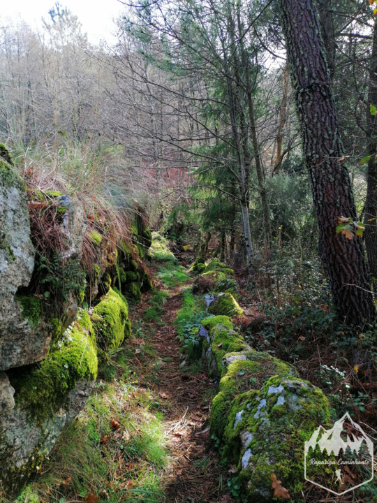 Photo_1582917798620.jpg Photo_1582917798620.jpg