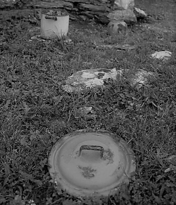 restos de vida (2).JPG